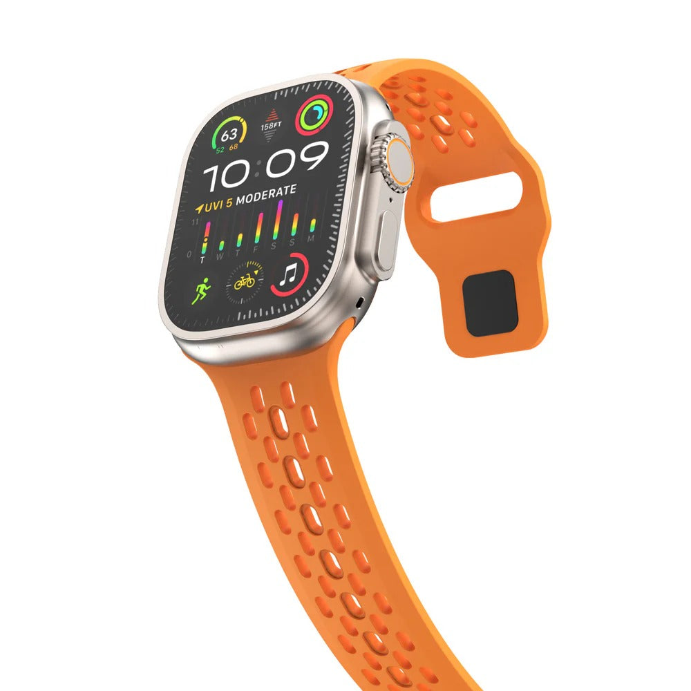 P6 - The Vertex Band